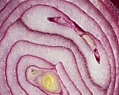 Cross-section of a red onion (filling the picture)