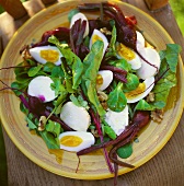 Beetroot salad with eggs, green vegetables and mozzarella