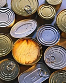 Several types of tinned fish