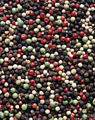 Coloured peppercorns (filling the picture)