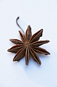 Star anise on white background