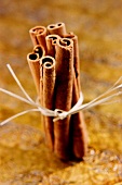 Several cinnamon sticks tied together