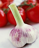 A garlic bulb with tomatoes in the background