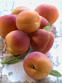 Several fresh apricots