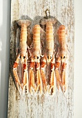 Four langoustines (Nephrops norvegicus) on a wooden board