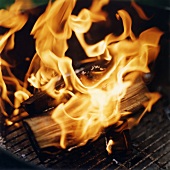 Brennende Holzscheite auf einem Grill