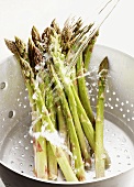 Spears of green asparagus being rinsed