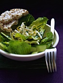 Romaine lettuce with cucumber, sprouts and rice wafers