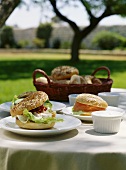 Bagels with salmon and soft cheese on table in garden