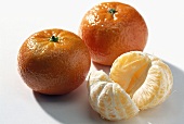 Clementine Late; Kreuzung: Mandarine und Pomeranze (Spanien)