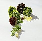 Various lettuces