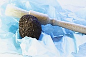 Black truffle with truffle brush on paper