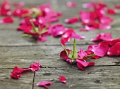 Rose petals on wooden background