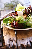 Autumnal green salad with mushrooms and cheese