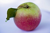 An apple with stalk and leaf