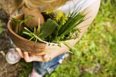 Child holding wooden bowl of fresh herbs in garden