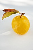 Yellow plum with stalk and leaves