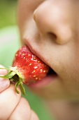 Child eating fresh strawberry