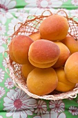 Fresh apricots in a basket