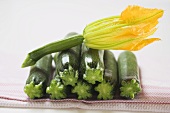 Several courgettes with courgette flower