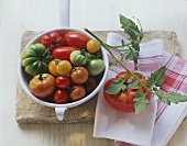 Verschiedene Tomaten im Küchensieb