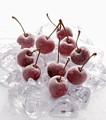 Frozen cherries on ice cubes