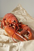 Cooked lobster on paper