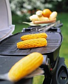 Corn on the cob on barbecue out of doors