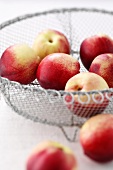 Nectarines in a wire basket