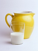 A glass of milk and a milk jug