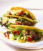 Tacos with strips of steak and salad