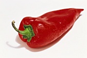 A red pointed pepper