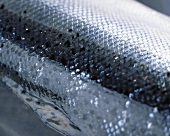 Fish skin (close-up)