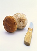 Cep with knife