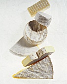 Various types of soft cheese