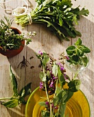 Various fresh herbs