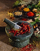 Mortar with chili peppers and spices