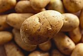 Potatoes (filling the picture)