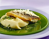 Sea bass with parsley pesto and mashed potato