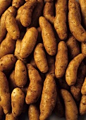 Potatoes (Kipfler variety)
