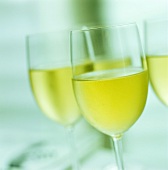 White wine glasses