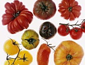 Various kinds of tomatoes