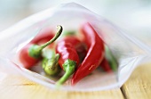 Red chili peppers in a plastic bag