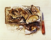 Oysters with knife