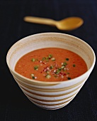 Gazpacho (Cold tomato soup from Spain)