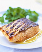 Grilled salmon with watercress