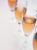 Vier Champagnergläser