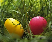 Two coloured eggs in grass