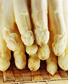 White asparagus tips (close-up)