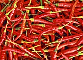 Red chili peppers (filling the picture)